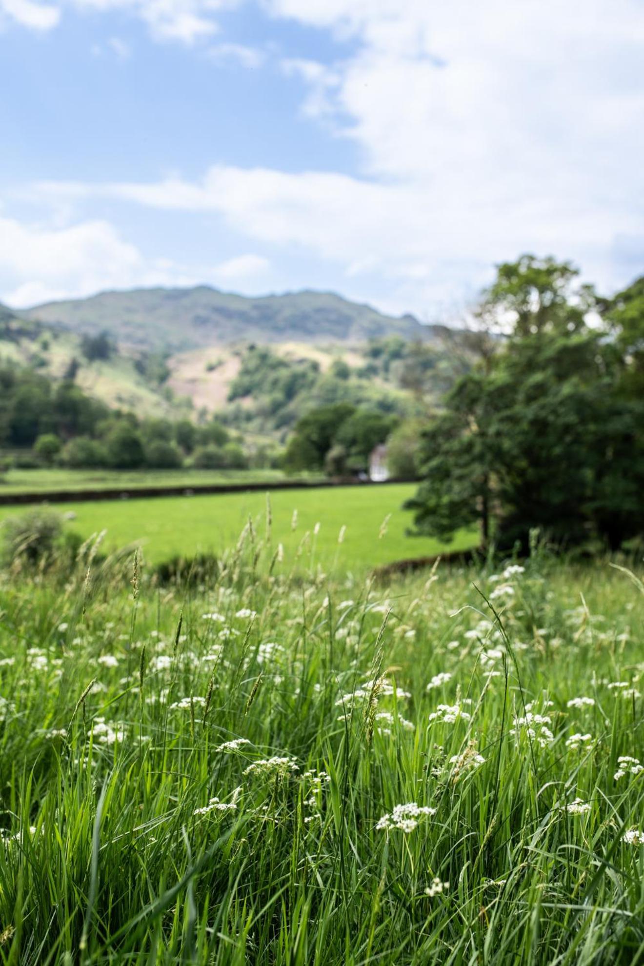 Lancrigg Hotel Grasmere Ngoại thất bức ảnh